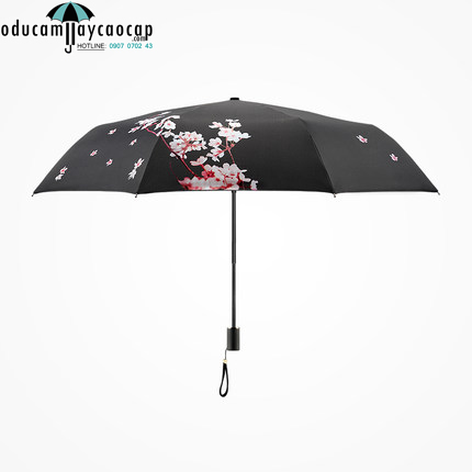 Ô dù cầm tay cao cấp Hongkong chống tia UV mùa hoa anh đào (black) 