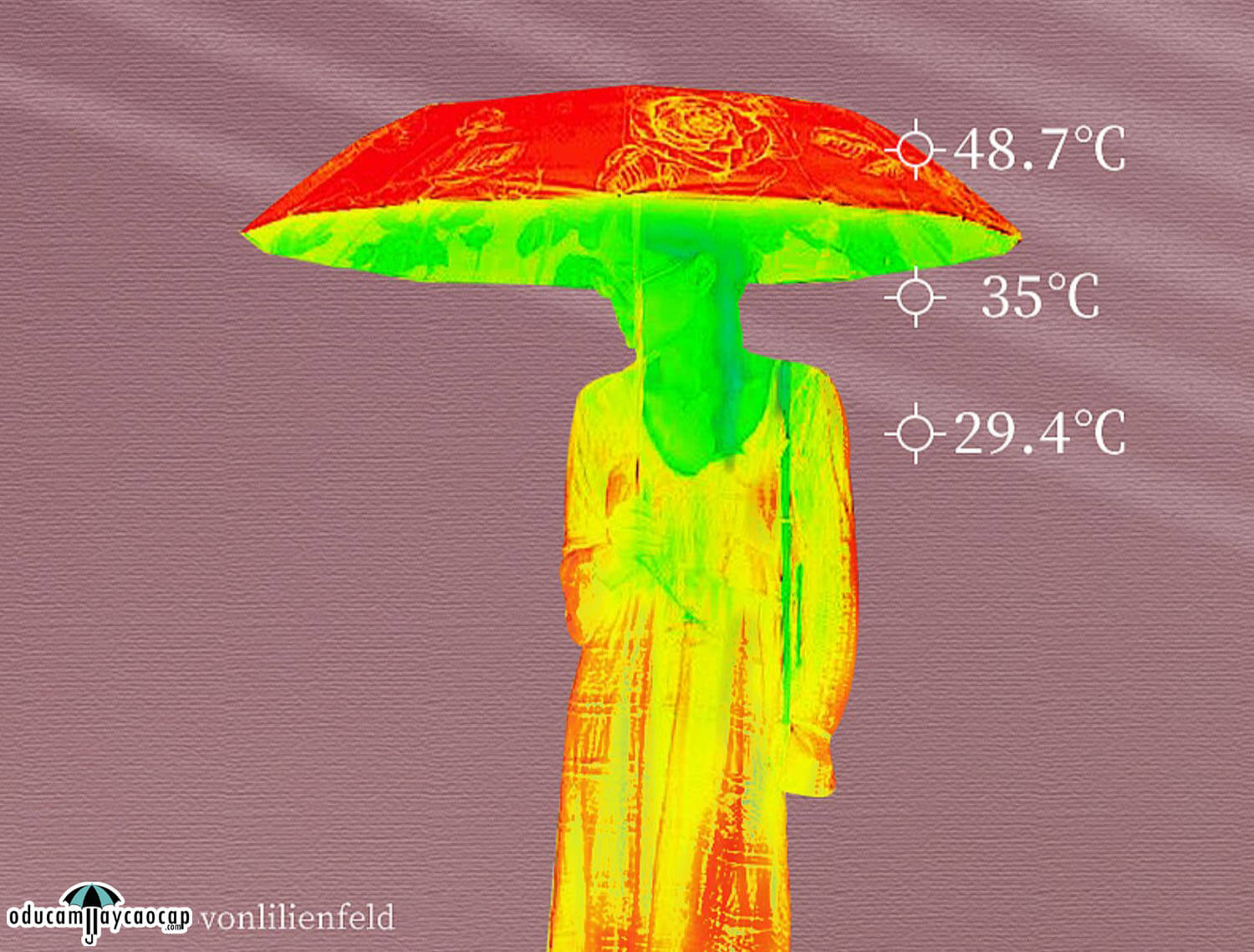 Evening Begonia - [16 XƯƠNG - 102CM - Ô DÙ GẬP 3 - 2 LỚP KÉP] - Ô dù cầm tay cao cấp gập 3 ,16 xương tay cầm gỗ, 2 tán kép họa tiết, chống UV