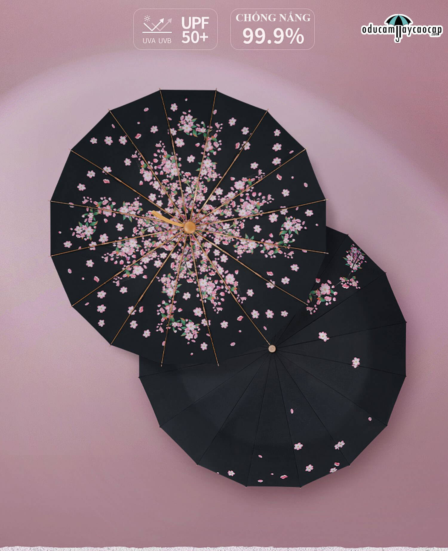 Evening Begonia - [16 XƯƠNG - 102CM - Ô DÙ GẬP 3 - 2 LỚP KÉP] - Ô dù cầm tay cao cấp gập 3 ,16 xương tay cầm gỗ, 2 tán kép họa tiết, chống UV