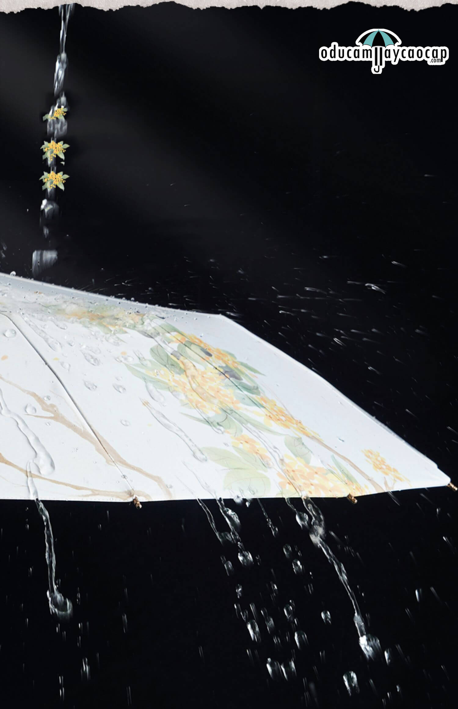  Ô dù cầm tay cao cấp gập 3 ,16 xương tay cầm gỗ, 2 tán kép họa tiết, chống UV