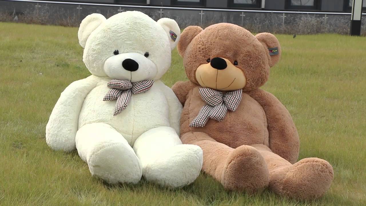 Gấu Teddy thể hiện sự quan tâm, yêu thương và che chở