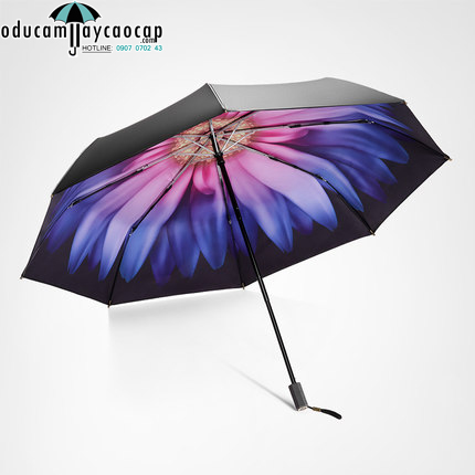 The High quality compact umbrella  anti-UV texture The chrysanthemum (black)