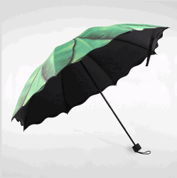 Ô dù cầm tay cao cấp chống tia UV lá chuối xanh bên ngoài