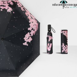 [TỰ ĐỘNG] Ô dù cầm tay cao cấp tự động chống UV Sakura